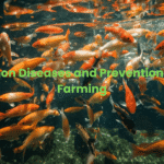 Common Diseases and Prevention in Fish Farming featured image