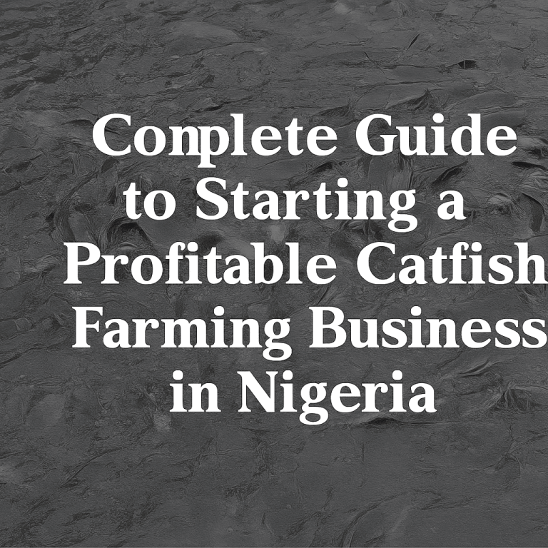 Complete Guide to Starting a Profitable Catfish Farming Business in Nigeria