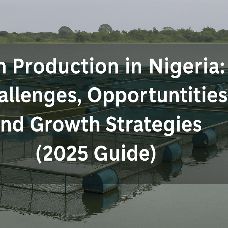 Fish Production in Nigeria Challenges, Opportunities, and Growth Strategies (2025 Guide)