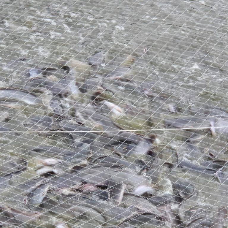 IMG-20250619-WA0041